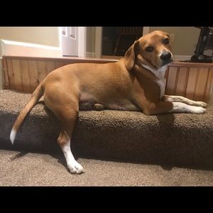 Meet your Posher, Bethany